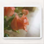 orange Rosen Mousepads