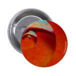 Orange Schale gegen blauen Himmel Button