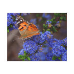 Orange Schmetterling auf blaue Blume eingewickelte Galerie Gefaltete Leinwand