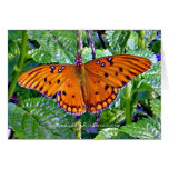 Orange Schmetterling Grußkarte