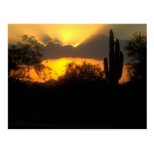 Orange Sonnenuntergangpostkarte