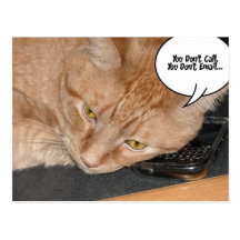 Orange Tabby-Katzen-Spaß Postkarte
