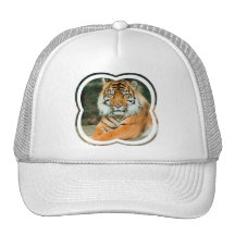 Orange Tiger-Baseball-Mütze