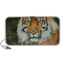 Orange Tigerportable-Lautsprecher