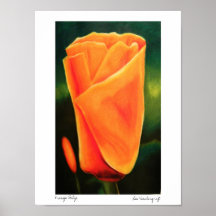 Orange Tulpe durch Lee Vandergrift Plakatdruck