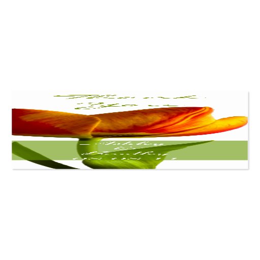 Orange Tulpe-Gastgeschenk Hochzeits-Umbau Visitenkarte