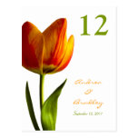 Orange Tulpe-Tischnummer-Karte Postkarte