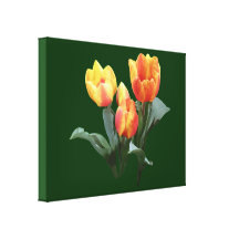 Orange und gelbe Tulpen Gespannte Galerie Drucke
