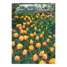Orange und gelbe Tulpen, werden Sie eingeladen Individuelle Einladung