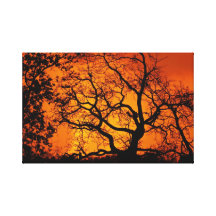Orange und schwarzer Sonnenuntergang Leinwanddrucke