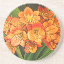 Orangee Blumen Getränke Untersetzer