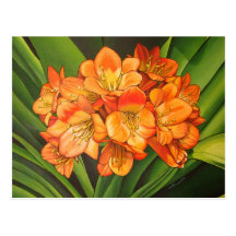 Orangee Blumen Postkarten