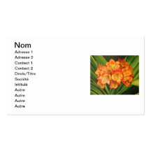 orangee Blumen Visitenkarten Vorlage