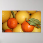 Orangen und Zitronen Posterdrucke