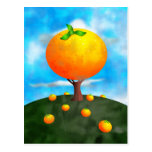 Orangenbaum Postkarte