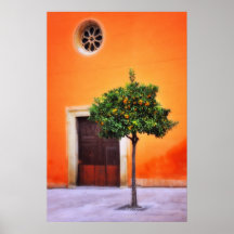 Orangenbaum sehr hübsch posterdruck