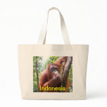Orangutan Indonesia taschen