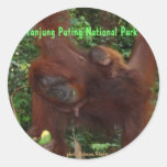 Orangutan Mother and Baby Stickers