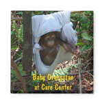 Orangutan Nursery School magnete