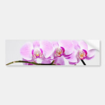 Orchidee Auto Sticker