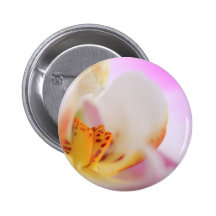 Orchidee Button