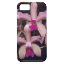 Orchidee, (Cattleya amethystoglossa), Ost Etui Fürs iPhone 5