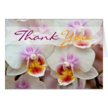 Orchidee • Danke zu kardieren Karte