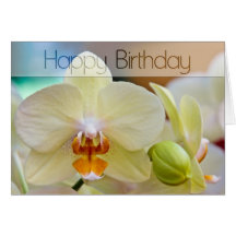 Orchidee • Geburtstags-Karte