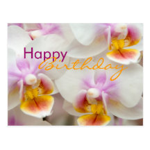 Orchidee • Geburtstags-Postkarte