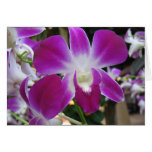 Orchidee Grußkarte