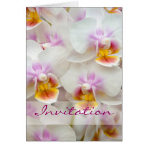 Orchidee • Hochzeits-Einladungs-Karte