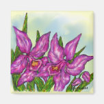 Orchidee magnetisch magnete
