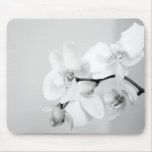 Orchidee Mousepads