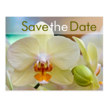 Orchidee • Save-the-Date-Postkarte