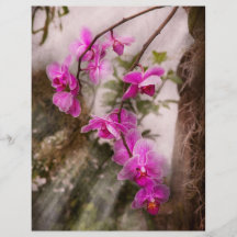 Orchidee - tropische Leidenschaft Individuelle Flyer