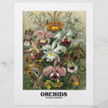Orchideen (Artforms der Natur) Vollfarbige Flyer