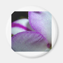 Orchideen-Blume Kühlschrankmagnete