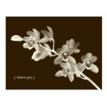 Orchideen-Blumen-Fotogewohnheit danken Ihnen Anmer Postkarte
