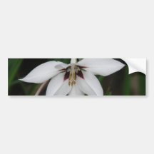Orchideen-Blumen-Stoßaufkleber Autosticker