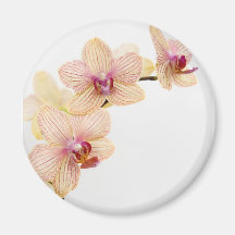 ORCHIDEEN-FREUDE MAGNETS