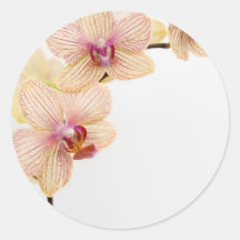 ORCHIDEEN-FREUDE RUNDE AUFKLEBER