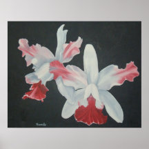 Orchideen im Flug Posterdrucke