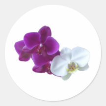 Orchideen-Kontraste Aufkleber