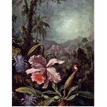 Orchideen-Leidenschafts-Blumen und Kolibris durch  Foto Skulptur