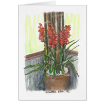 Orchideen mit Bambus Grußkarte