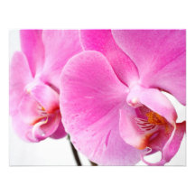 Orchideen Personalisierte Einladungen