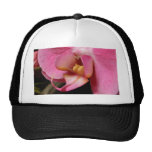 Orchideen-Pflanzen-Blumen Truckercap