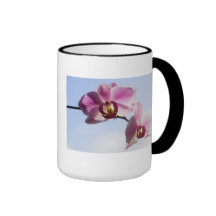Orchideenhimmel Tee Tasse