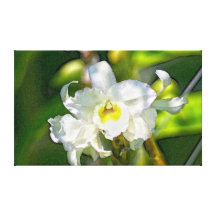 Orchideenstudie #2 gespannter galerie druck