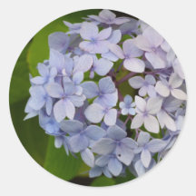 Ordensie Runder Sticker